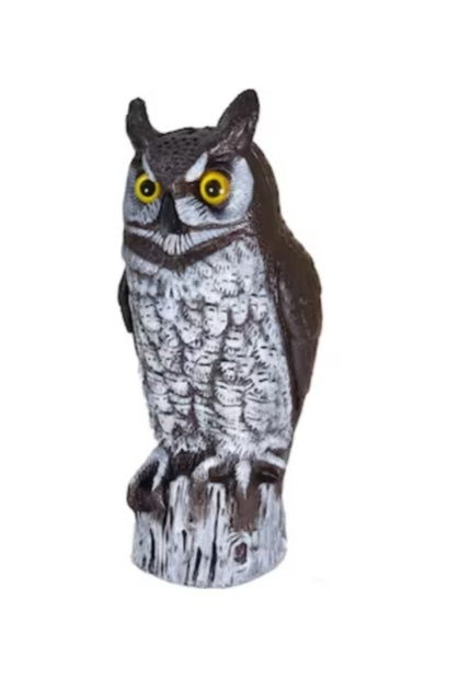 Owl Blow Mold - We Got Character Toys N More