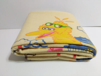 Sesame Street Chatham Blanket - We Got Character Toys N More