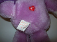 Care Bear Cousins Bright Heart Raccoon - We Got Character Toys N More