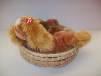 Cocker Spaniel talking Dogs In Basket Plush - We Got Character Toys N More