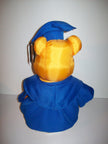 Disney Winnie The Pooh Graduate - We Got Character Toys N More