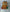 Enesco Garfield Figurine Christmas Is Giving - We Got Character Toys N More