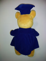 Winnie The Pooh Graduation Graduate Plush - We Got Character Toys N More