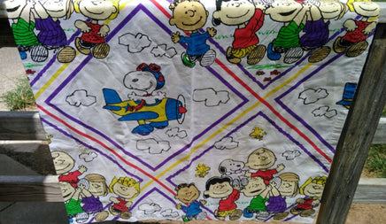 Snoopy Peanuts Shower Curtain - We Got Character Toys N More