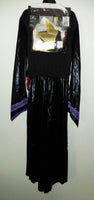 Disney Evil Queen Costume - We Got Character Toys N More