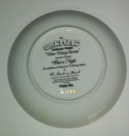 Garfield Dear Diary Plate What A Night - We Got Character Toys N More