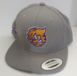 Wildcats Garfield Ball Cap Hat - We Got Character Toys N More